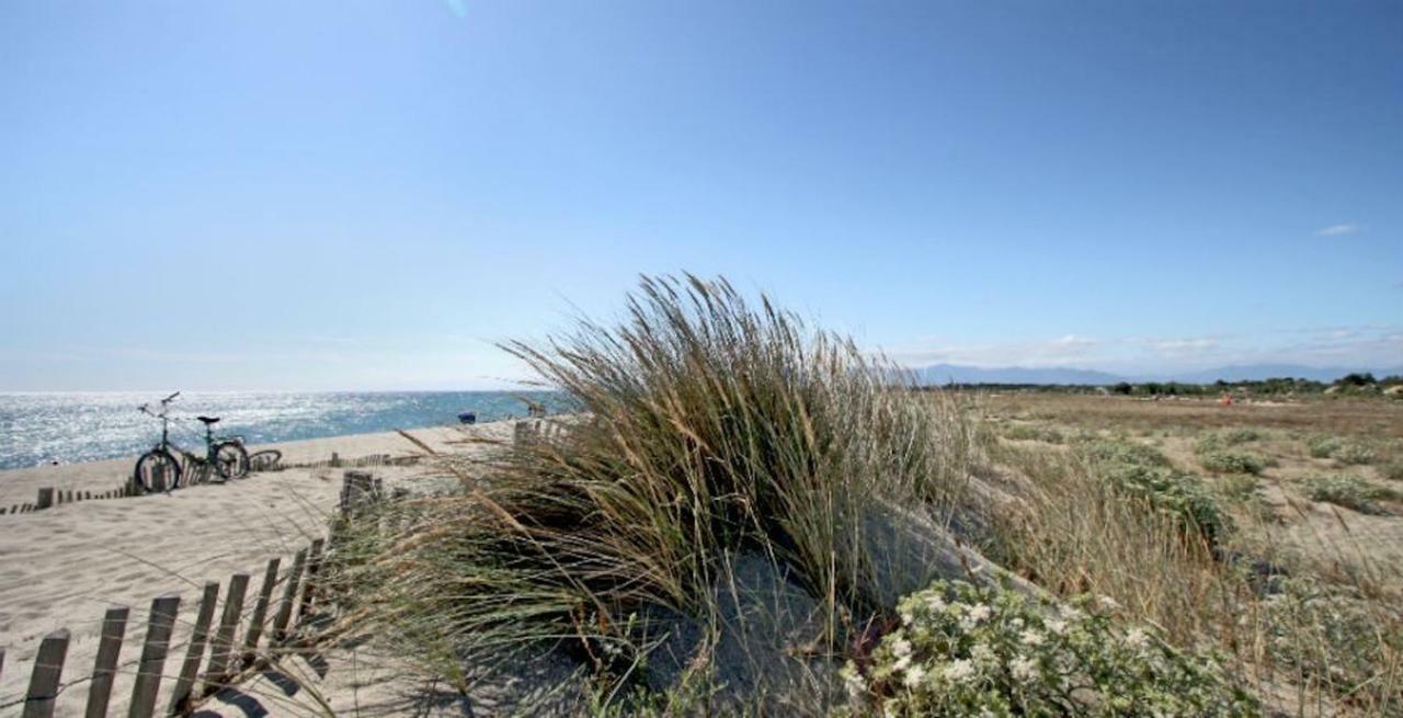Maison Jardin Wifi - Climatisation - 100 M Plage Sauvage - 20 Min Perpignan Торрей Экстерьер фото
